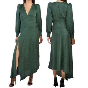 RONNY KOBO COLLECTION Estelle Pine Green Zebra Print Long Sleeve Maxi Dress Sz S